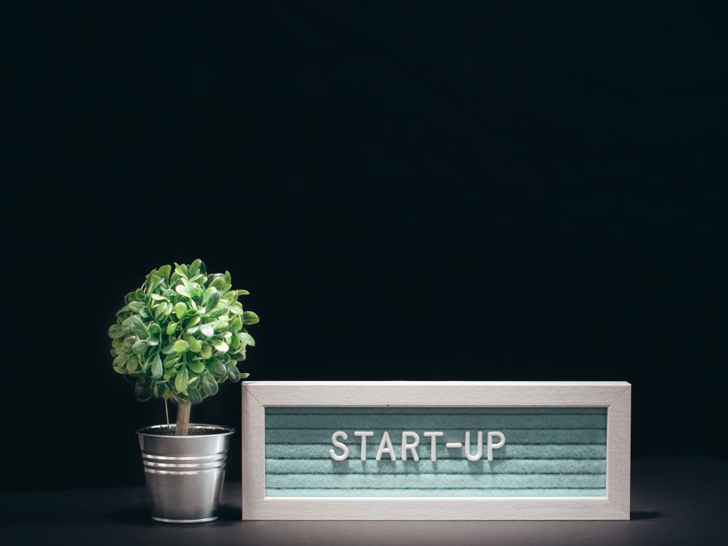 17k revenue first year doing e-commerce